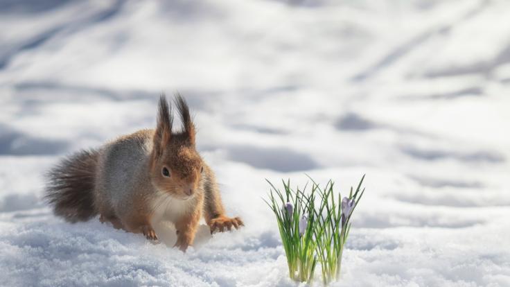 Wie lange dauert das winterliche Wetter an?