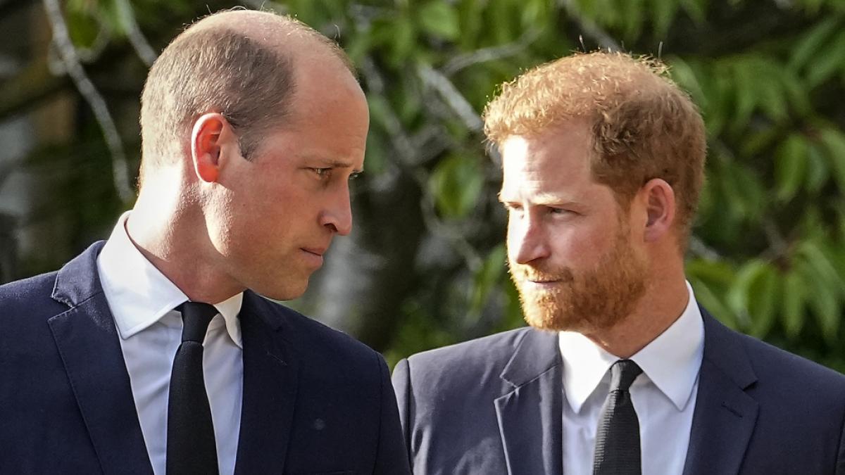 Der Erbe und sein Ersatzmann: Schon im Kindesalter war Prinz William und Prinz Harry klar, welche Rollen sie in der britischen K&ouml;nigsfamilie zu erf&uuml;llen hatten. (Foto)
