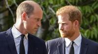 Der Erbe und sein Ersatzmann: Schon im Kindesalter war Prinz William und Prinz Harry klar, welche Rollen sie in der britischen Königsfamilie zu erfüllen hatten.