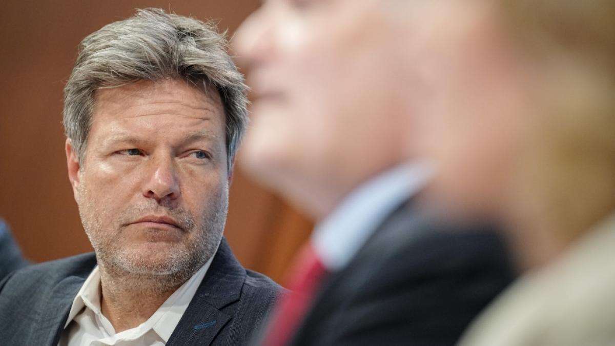Experten kritisieren die geplante W&auml;rmewende. (Foto)