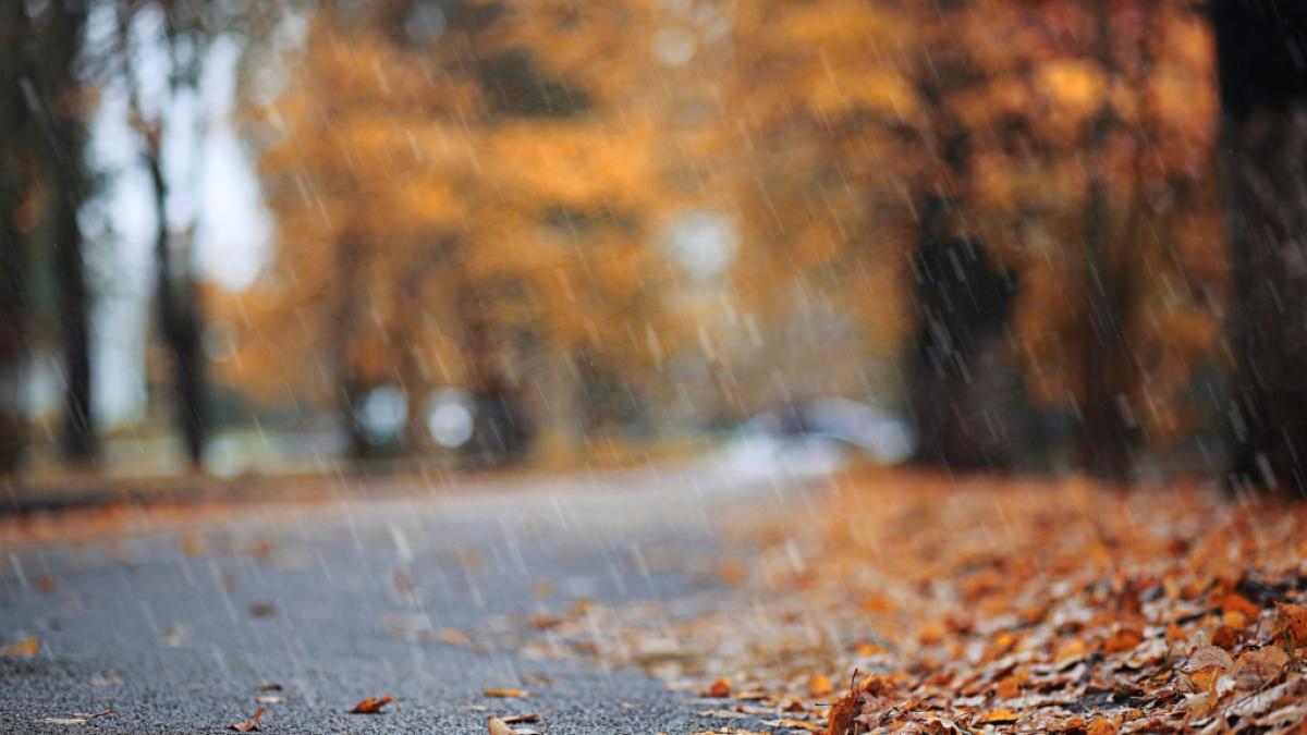 Wann kommt endlich der Herbst? (Foto)