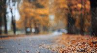 Wann kommt endlich der Herbst?