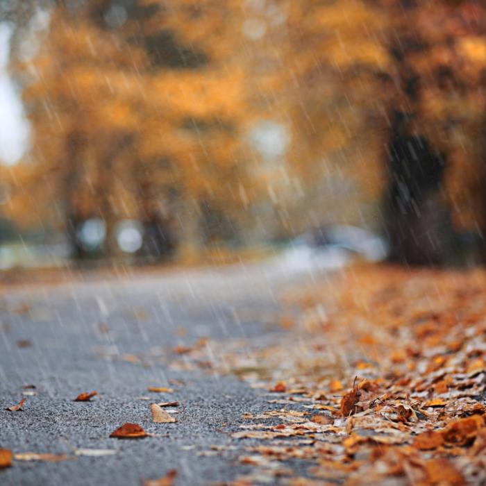 Wetterdienst warnt vor Starkregen! Schlägt der Herbst nun eiskalt zu?