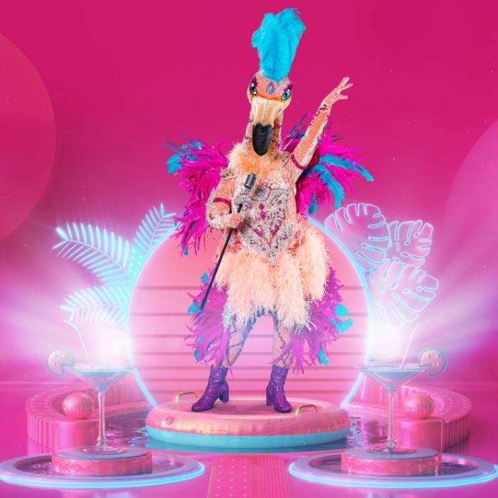 Jury völlig verwirrt! Wer verbirgt sich im Flamingo-Kostüm?