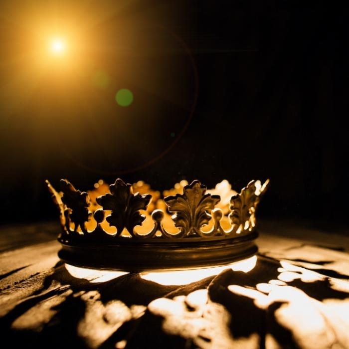 Tierischer Tod! 