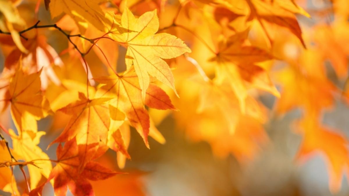 Wie wird das Wetter im Oktober 2022? (Foto)