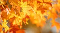 Wie wird das Wetter im Oktober 2022?