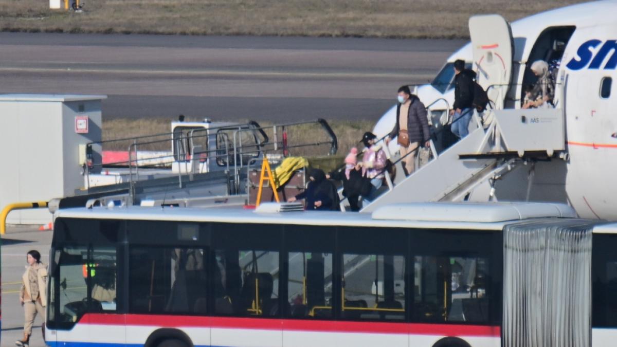 Ein Flugzeug mit mehreren Fl&uuml;chtlingen aus Afghanistan landet im M&auml;rz am Flughafen Berlin-Brandenburg. (Foto)