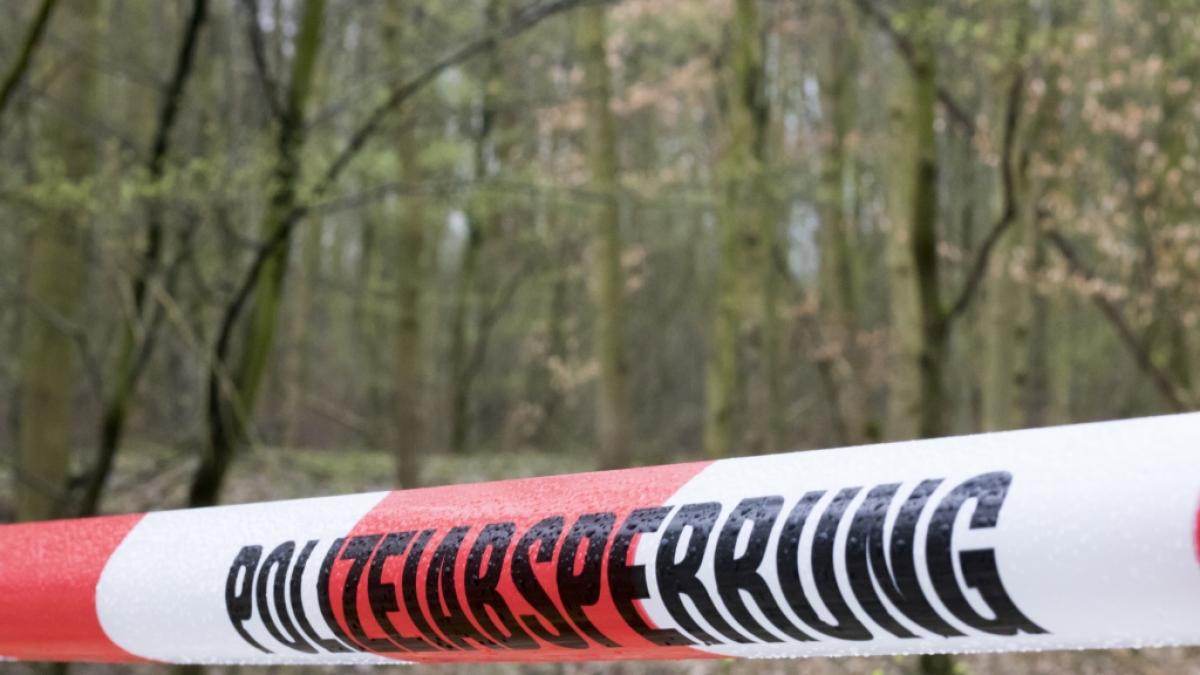 Im Erzgebirge bei Gornau wurden mehrere Leichenteile gefunden. Die Polizei steht vor einem R&auml;tsel. (Foto)