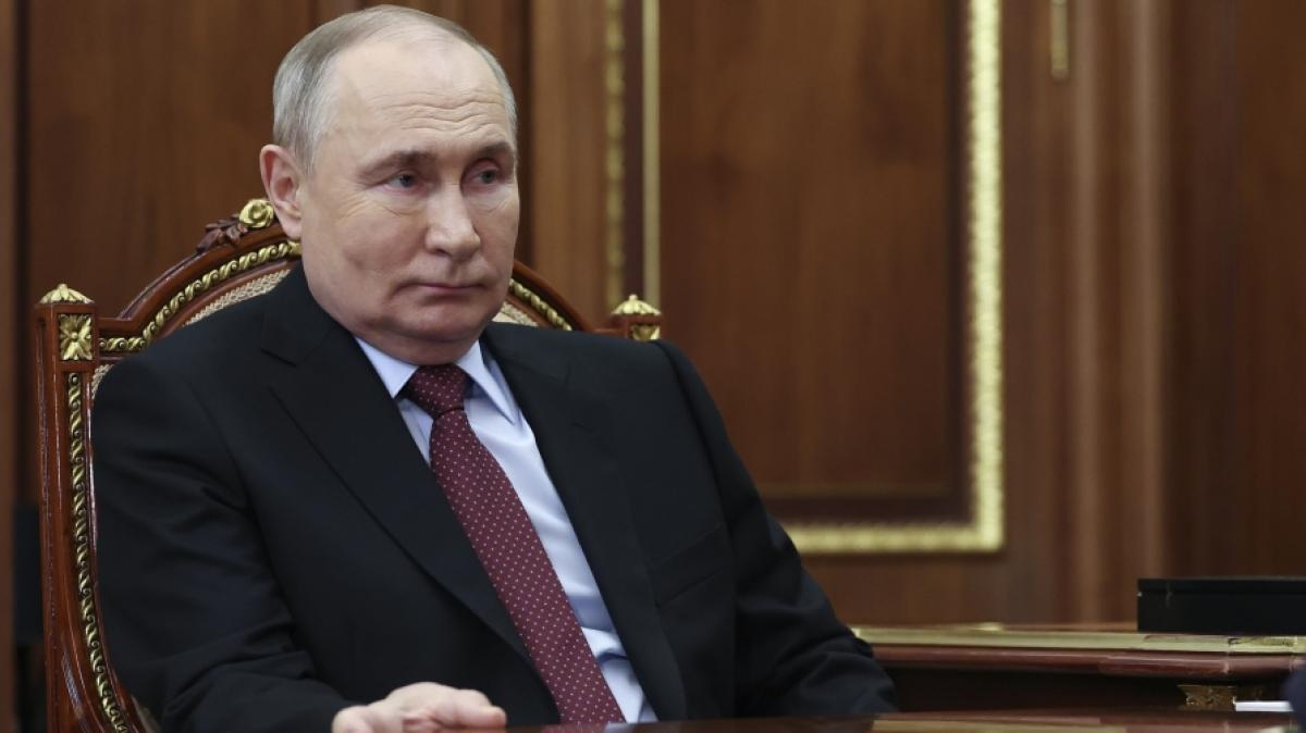 Anti-Putin-Legionen sollen nach Russland eingedrungen sein. (Foto)