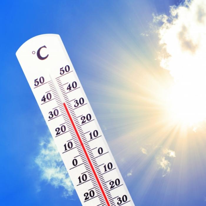 Über 40 Grad Hitze! Wetterdienst warnt vor Rekord-Sommer