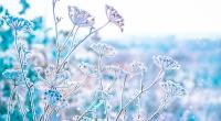 Wie wird das Wetter im Februar?