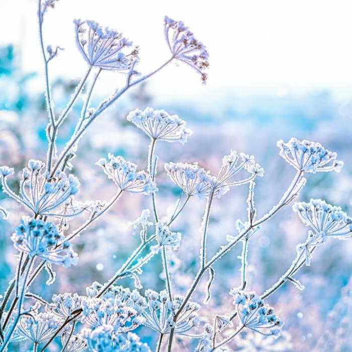 Eisiges Winter-Ende? Das sagt der 100-jährige Kalender voraus