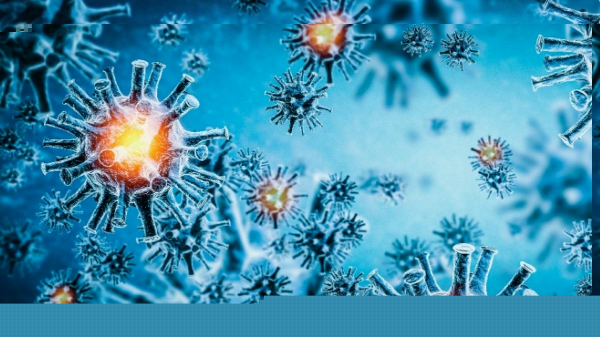 Forscher wollen ein neues Coronavirus entdeckt haben, das vermutlich von Hunden auf Menschen &uuml;bersprang. (Foto)