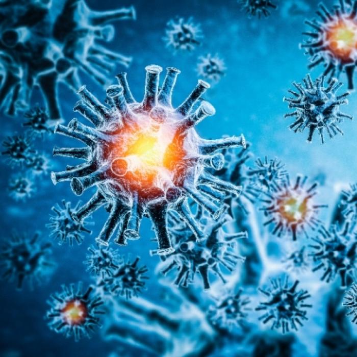 Angst vor SARS-CoV-3! Forscher entdecken neues Coronavirus