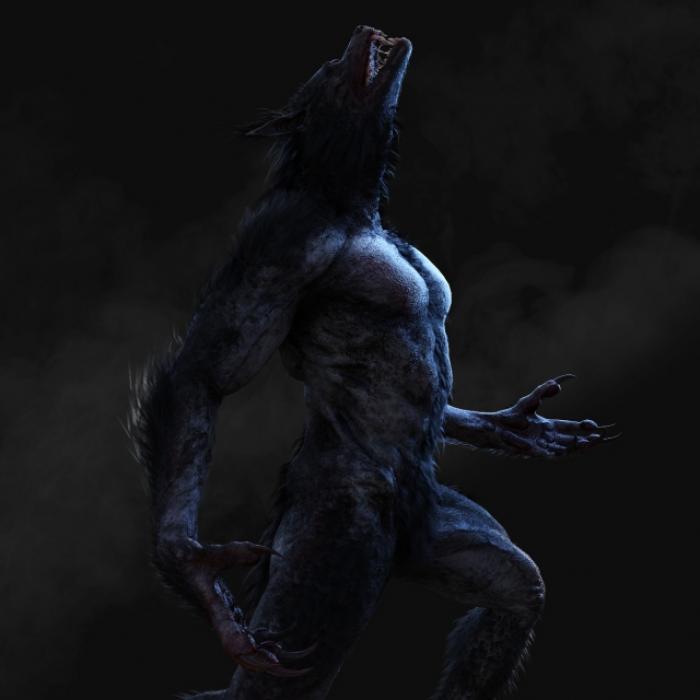 Mensch-Hund-Kreatur gesichtet! Treibt HIER ein Werwolf sein Unwesen?