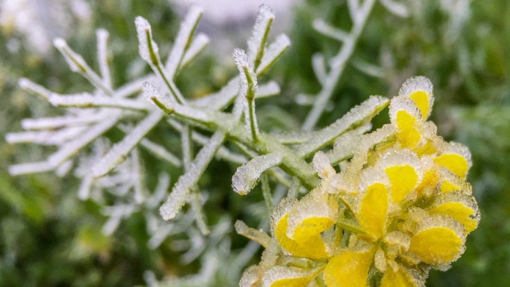 Im Januar 2018 stehen dem Norden Deutschlands frostige Temperaturen ins Haus.