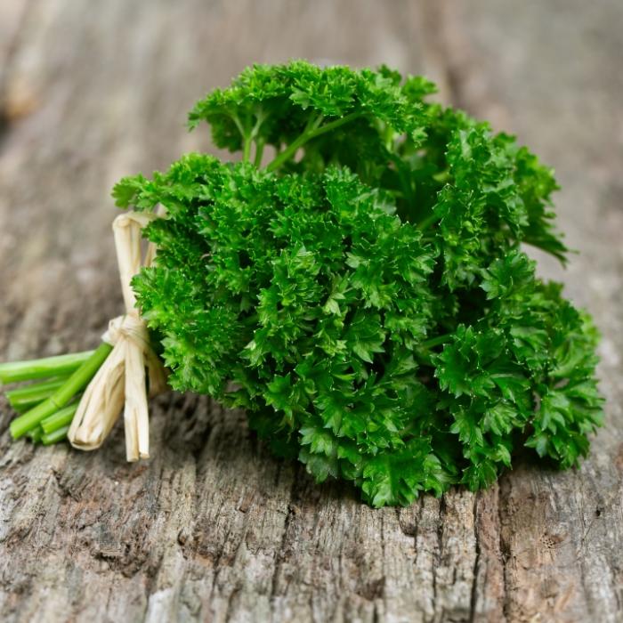 Gift für Schwangere! Das macht das Küchenkraut so gefährlich
