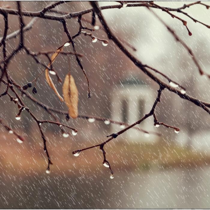 Kaltfront kracht Spätsommer weg! HIER droht in dieser Woche Schnee