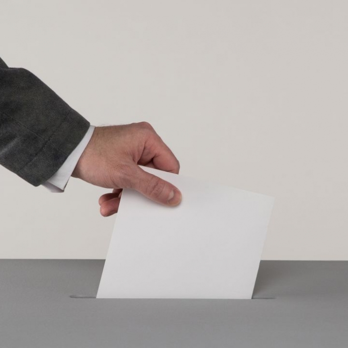 Wiederholung der Wahlen im TV und online