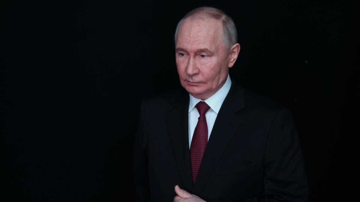 Wladimir Putin - Dreifach-M&ouml;rder nach Begnadigung durch den Kreml-Chef wird erneut straff&auml;llig. (Foto)