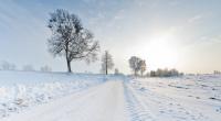 Droht uns im November ein Arctic Outbreak?