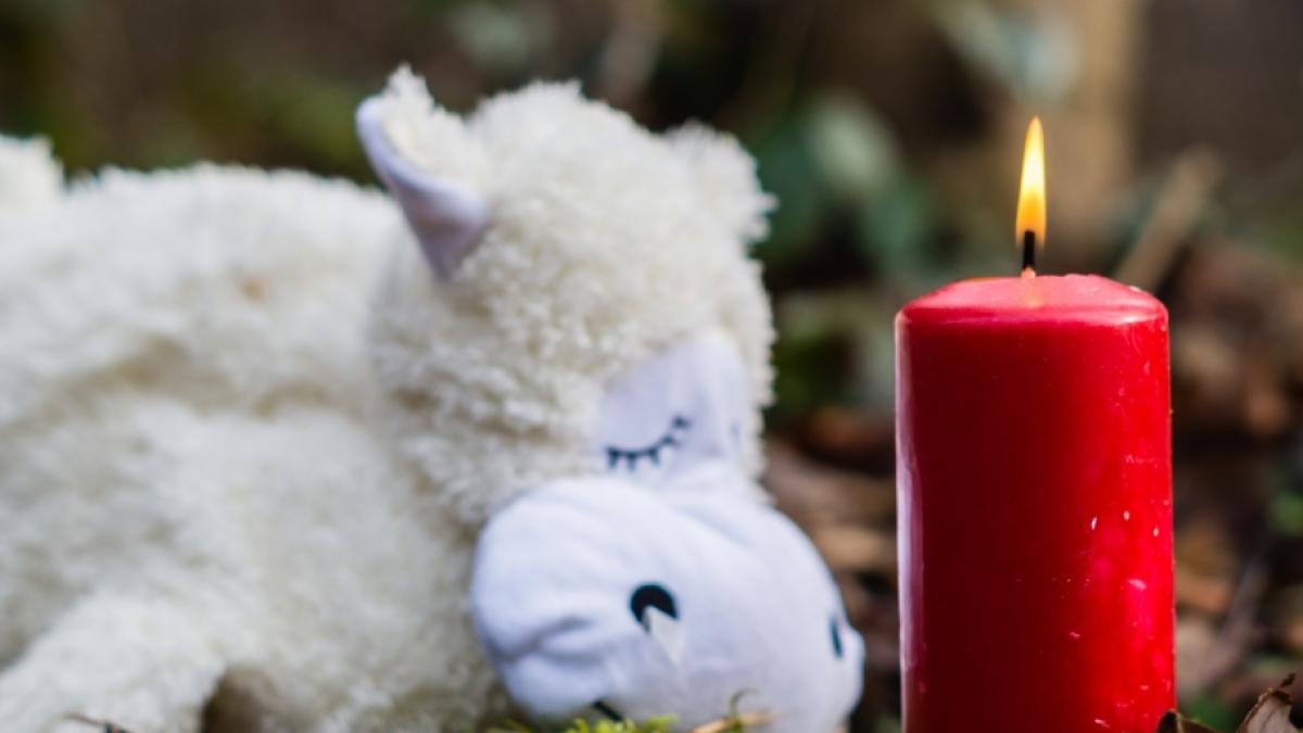 Ein 7-J&auml;hriger wurde tot in einer Waschmaschine gefunden. (Foto)