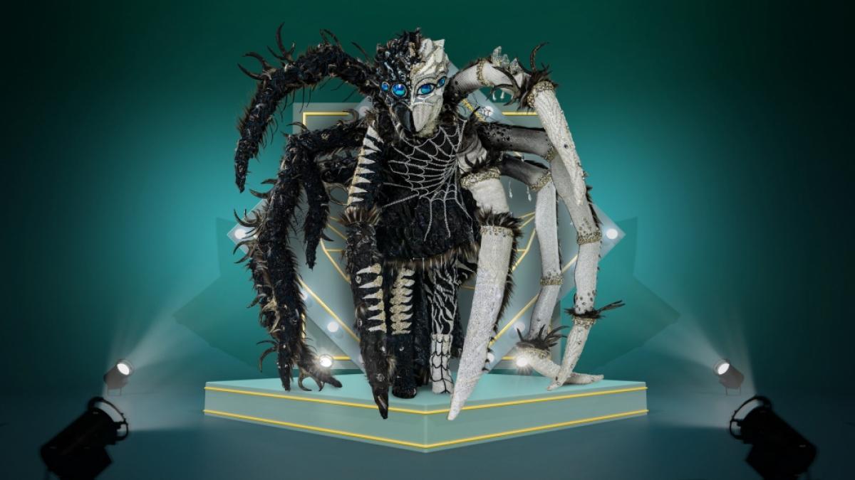 Sie krabbelt, sie glitzert und zieht alle mit bet&ouml;rendem Gesang in ihren Bann: Diamantula ist eine der aufw&auml;ndigsten Masken in der "The Masked Singer"-Geschichte und hat in Staffel 8 ihren gro&szlig;en Auftritt. (Foto)