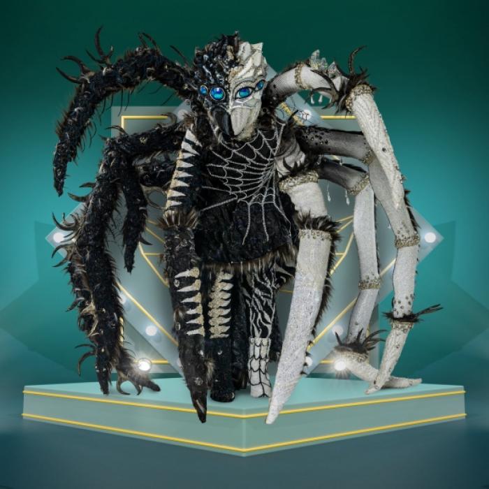 Dieser Promi war die funkelnde Diamantula