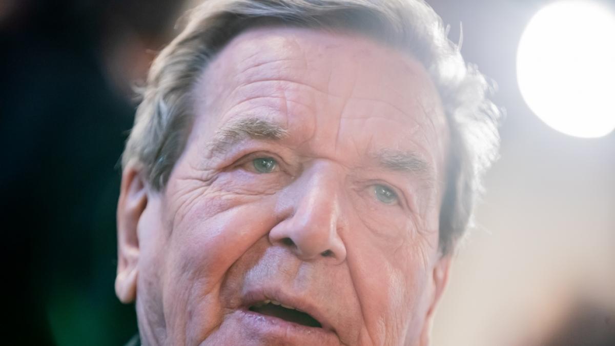 Gerhard Schr&ouml;der sieht deutlich schlanker aus. (Foto)