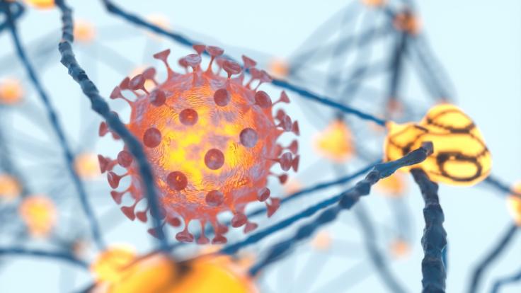 Das Coronavirus richtet auch Schäden im Gehirn an.