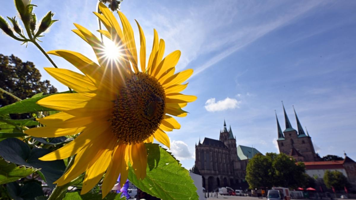 Am ersten Oktoberwochenende richtet der Freistaat Th&uuml;ringen in seiner Landeshauptstadt Erfurt die zentralen Feierlichkeiten zum Tag der Deutschen Einheit aus. (Foto)