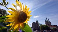 Am ersten Oktoberwochenende richtet der Freistaat Thüringen in seiner Landeshauptstadt Erfurt die zentralen Feierlichkeiten zum Tag der Deutschen Einheit aus.
