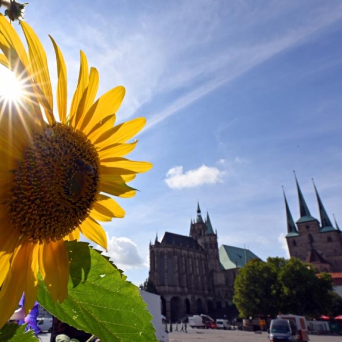 TV-Übertragung, Programm und mehr: Die Einheitsfeier heute in Erfurt