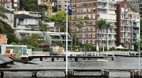 Im Hafen von Sydney ist eine Frau von einem Hai attackiert worden.