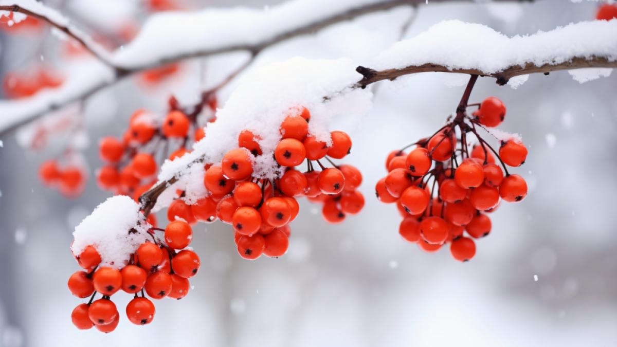 Droht uns bereits im Oktober ein erster Wintereinbruch? (Foto)