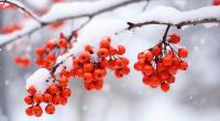 Droht uns bereits im Oktober ein erster Wintereinbruch?