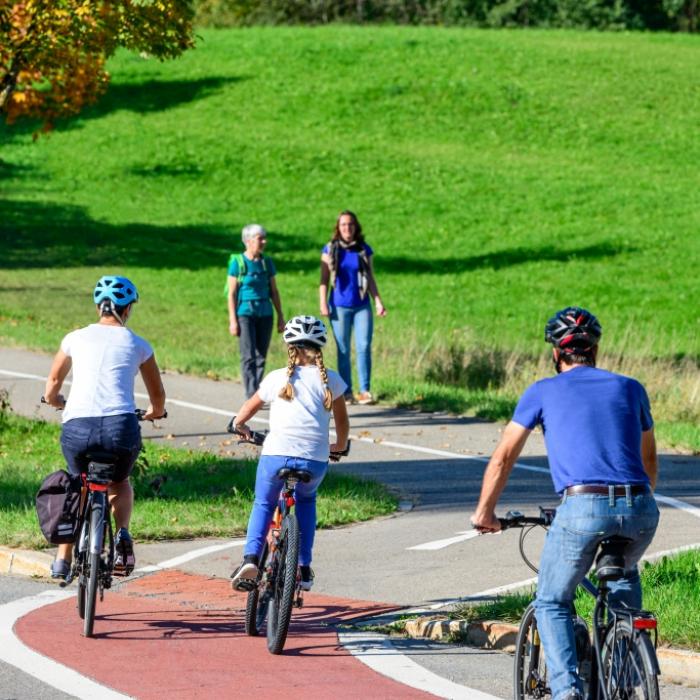 Diese Strafen drohen bei falschem Verhalten im Straßenverkehr