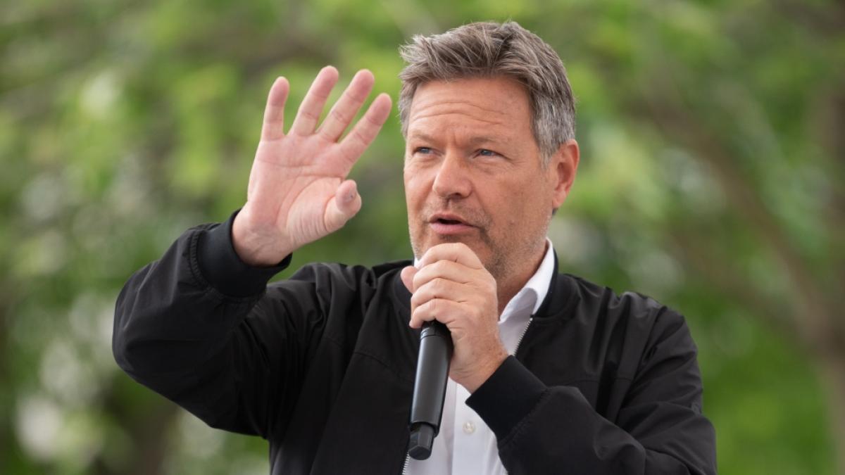 Vizekanzler Robert Habeck polarisiert mit seinen Aussagen zu Israel. (Foto)