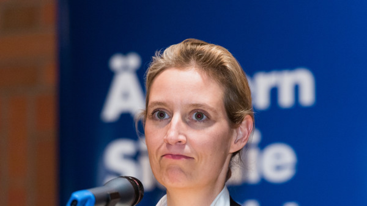 Alice Weidel ist mit Ehefrau Sarah Bossard und ihren beiden S&ouml;hnen gl&uuml;cklich. (Foto)