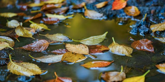 Goldener Oktober kollabiert