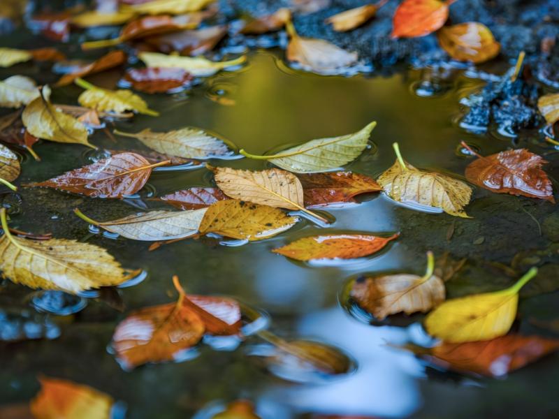 Goldener Oktober kollabiert: Wettersturz zur Wochenmitte – Kaltfront bringt Sturm und kräftigen Regen