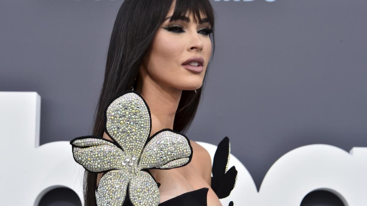 Schauspielerin Megan Fox hat &uuml;ber ihre zahlreichen Sch&ouml;nheits-Eingriffe gesprochen. (Foto)