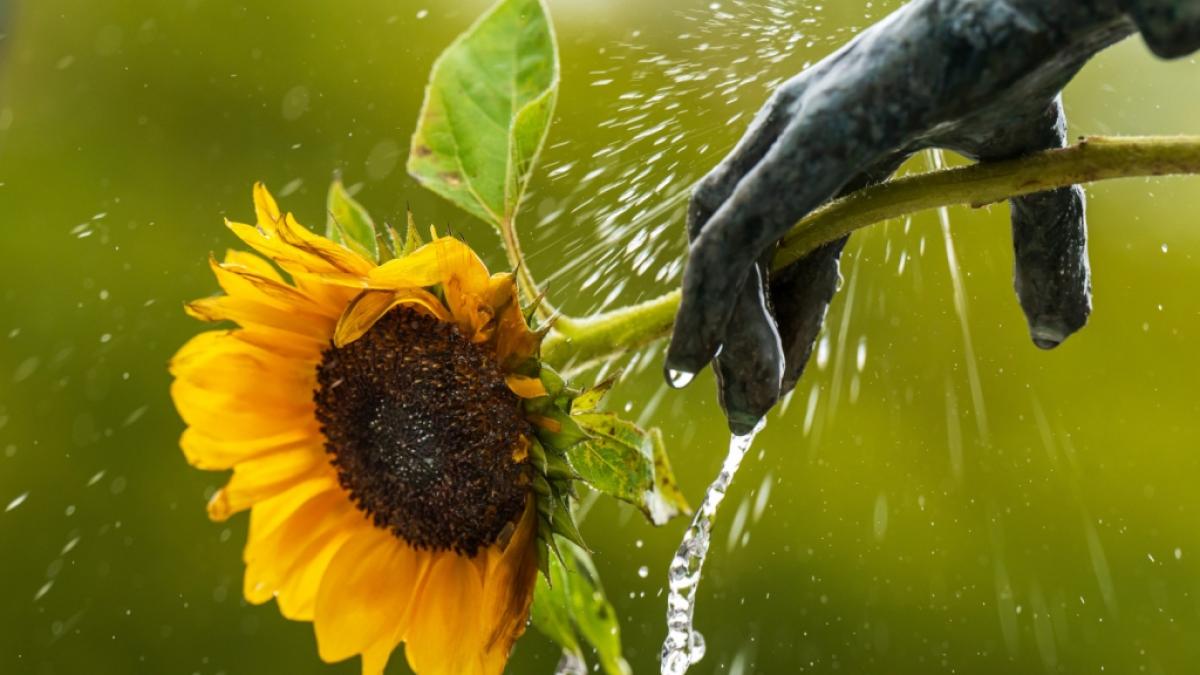 Vor dem meteorologischen Herbstbeginn strahlt Hoch "Quintin" das Unwetter-Chaos weg - doch die Gefahr ist noch nicht g&auml;nzlich gebannt. (Foto)