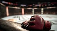 Die UFC trauert um Allan Nascimento (Symbolbild).