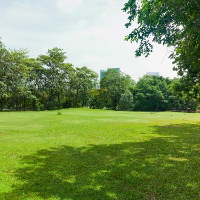 Frau im Park missbraucht - Polizei sucht drei Männer