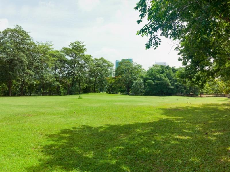 Vergewaltigung in Leipzig: Frau im Park missbraucht - Polizei sucht drei Männer