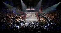 WWE hat wieder zahlreiche Superstars entlassen.