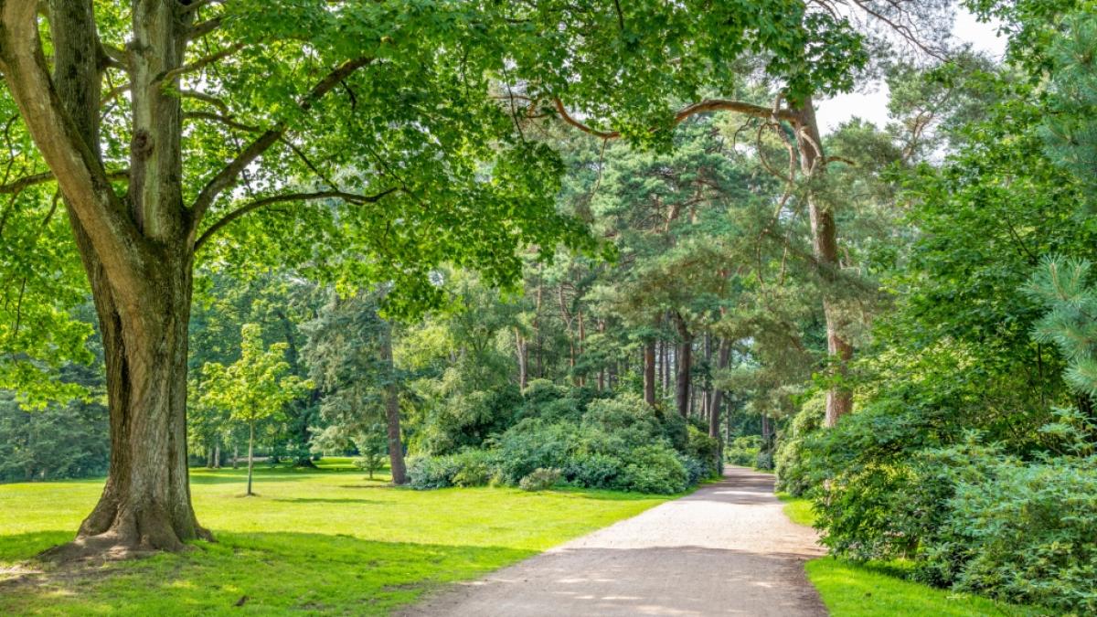 In einem Stadtpark in F&uuml;rstenwalde sollen die zwei M&auml;dchen missbraucht worden sein. (Foto)