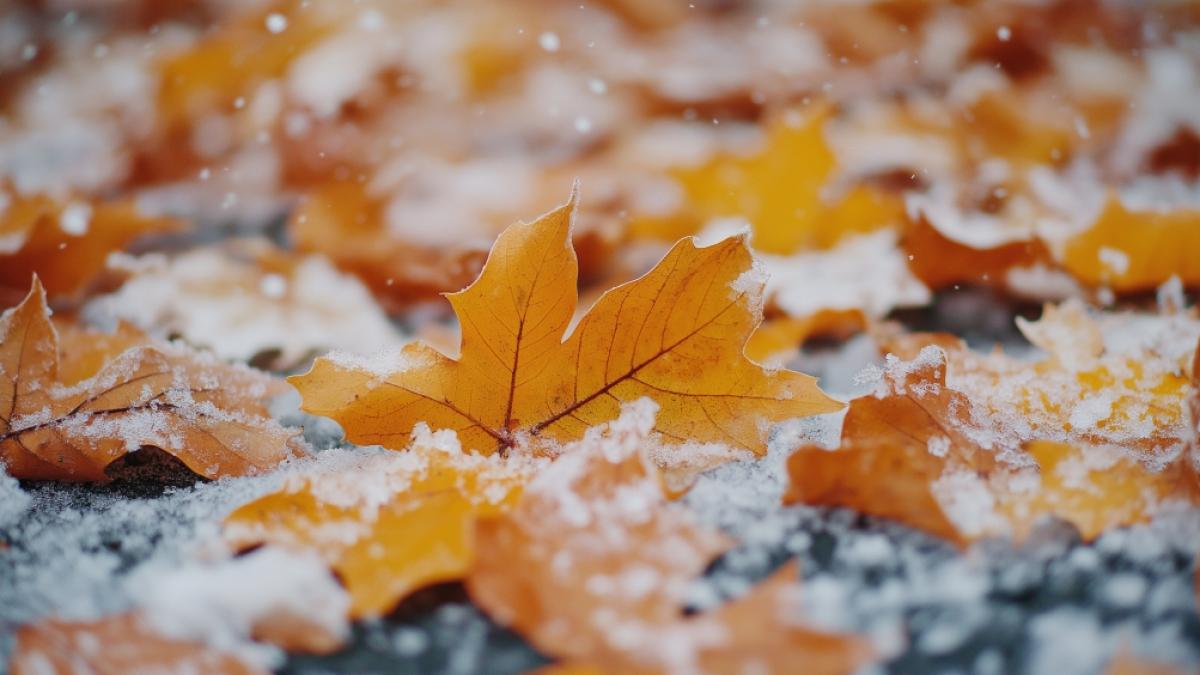 Droht uns im November ein Wintereinbruch? (Foto)